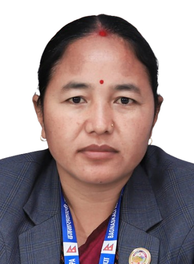 सरस्वती चिदी